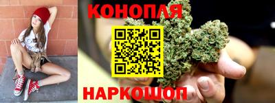 прущие грибы Гай