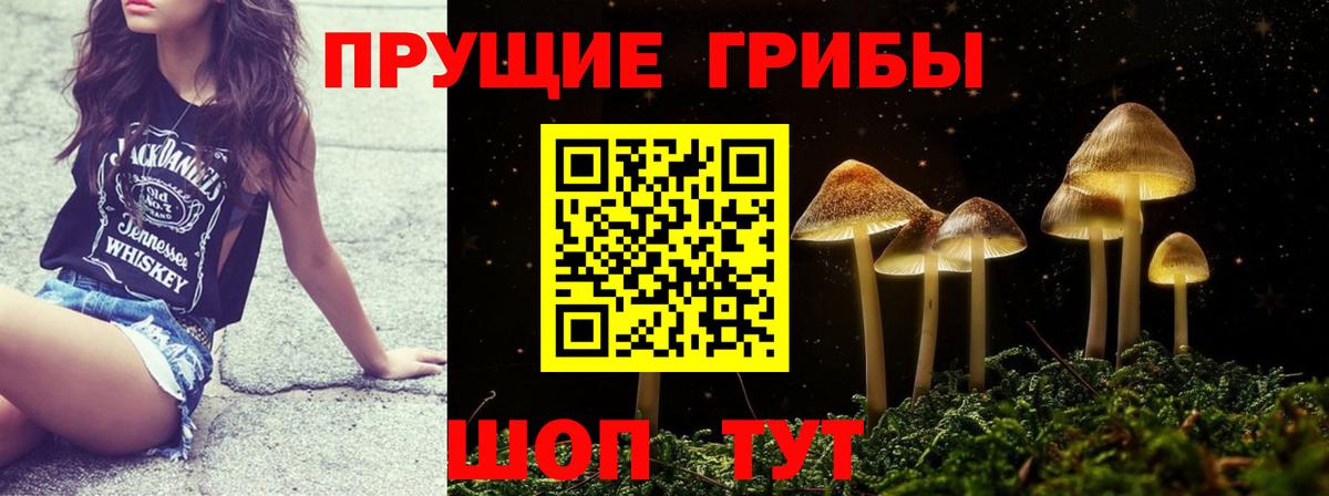 Галлюциногенные грибы Cubensis  Галлюциногенные грибы ЛСД  Валуйки  Вход с VPN 
